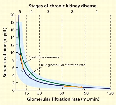 RSIDefenser: What is the significance of GFR measurement