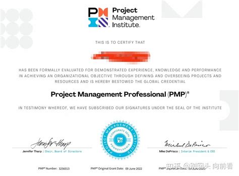 Project Management Professional 的图像结果