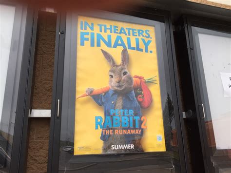 Review: ‘Peter Rabbit’ sequel (finally) hops its way into theaters ...