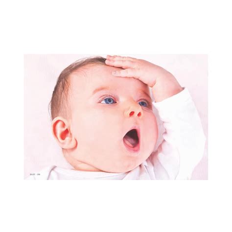 Editone international Baby Poster - Colorful Laminated Prints for ...
