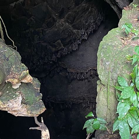 LA GROTTE AUX CHAUVE-SOURIS (2025) All You Need to Know BEFORE You Go ...