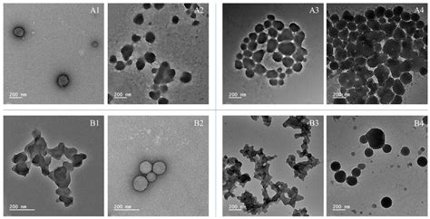 From Grape Stalks to Lignin Nanoparticles: A Study on Extraction Scale ...