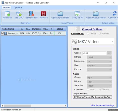 Convert Video Format Input Ace 的图像结果