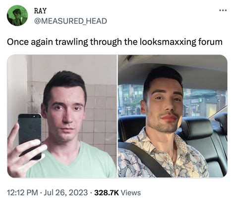 Looksmaxxing meme | Looksmaxxing | Know Your Meme