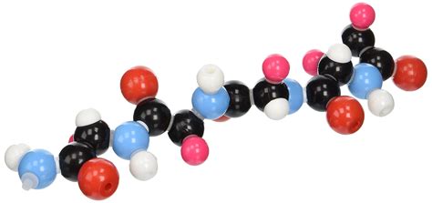 Image result for What Is Polypeptide