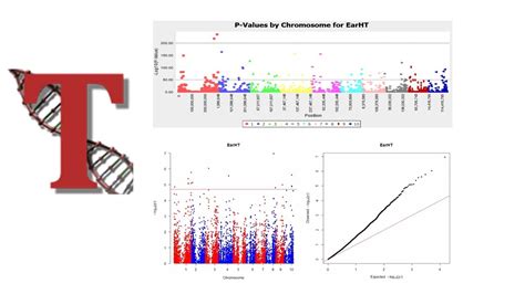 Image result for GWAS Software