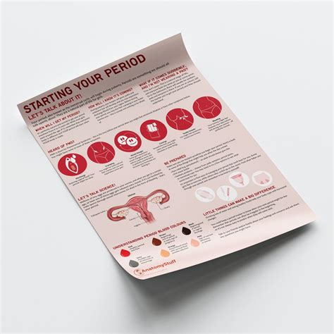 Starting Your Period Poster | School & Menstruation Education | AnatomyStuff