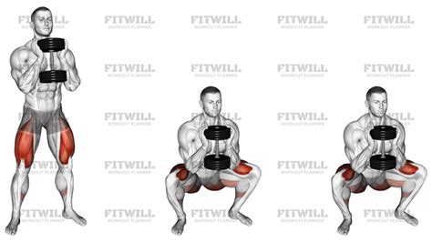 Dumbbell Goblet 2 Sec Hold Squat: Exercise Guide, Video, Techniques ...