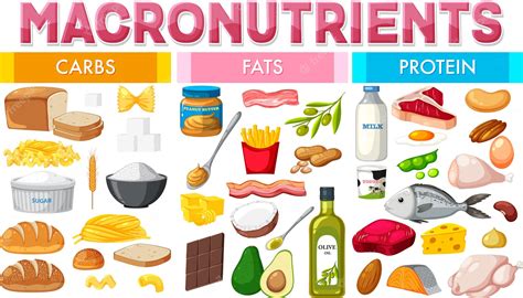 Free Examples Of Grow Foods, Download Free Examples Of Grow Foods png images, Free ClipArts on ...