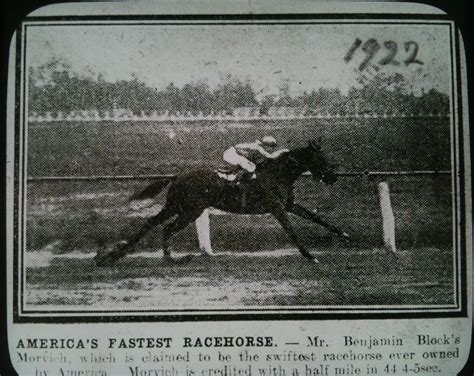 Thrills and Spills and Just another Day at the Races – Motion Studies ...