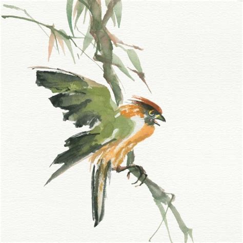 Image result for Formosan Firecrest