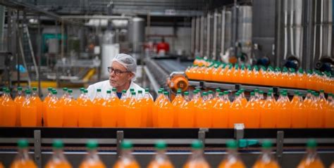 Image result for Secondary Sector Job Example