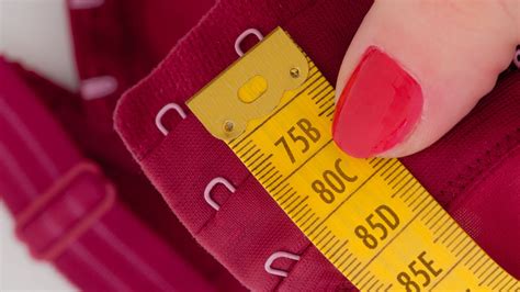 Bra Cup Sizes Smallest to Biggest – What’s The Biggest Bra Size Letter ...