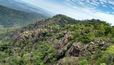5 Magical Hill Stations You Can Visit in Tamil Nadu - lifeberrys.com