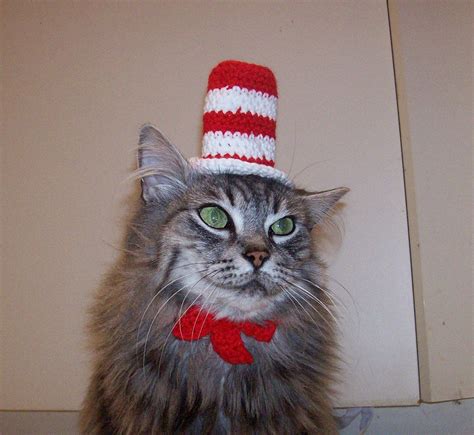 Cat In The Hat Crocheted Costume for Cats