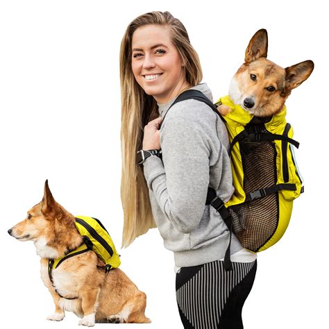 Dog backpack carrier near me online