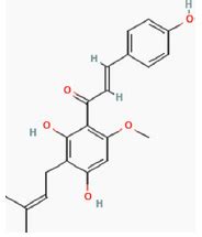 Phytomolecules against inflammation and fibrosis in immunoglobulin A ...