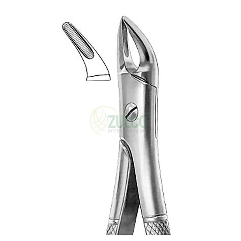 G.S Extracting Forceps – American Pattern Roots #300, Premium Quality