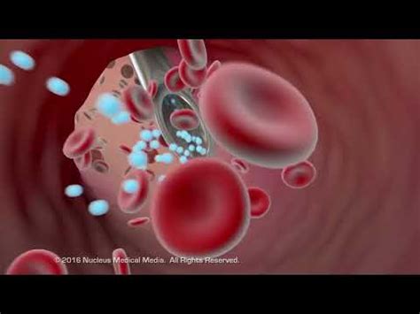 Medication Animation 的图像结果