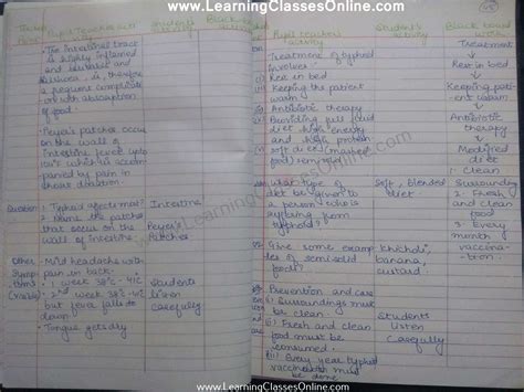 Image result for B Ed Lesson Plan Science