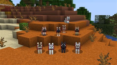 Backported Wolves - Versions