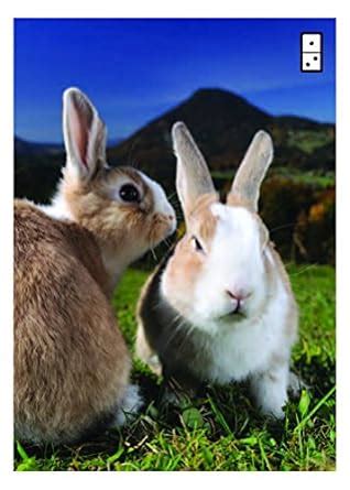 Zarrella's Hierarchy of Contagiousness: he Science, Design, and ...