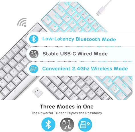 RKROYALKLUDGE RK ROYAL KLUDGE RK61 Wireless 60% Triple Mode India | Ubuy