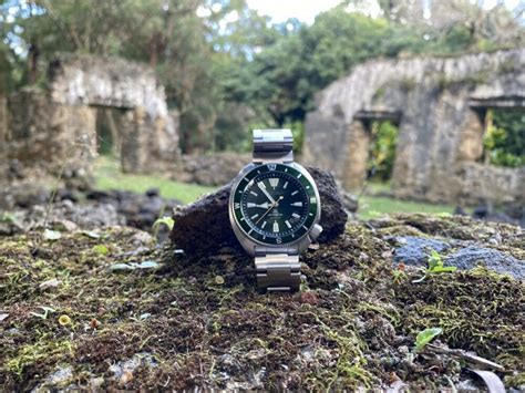 Image result for How to Use a Compass Bezel