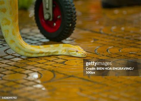 Image result for How to Create a 3D Floor Python