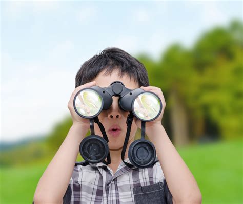 Image result for Nature Object Lessons