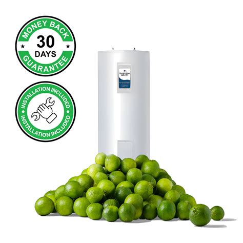 Bradford White Electric Water Heater | 60 Gallon – Go Lime