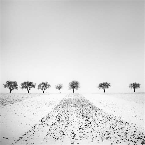 Ian Sanderson - Sophie- Signed limited edition contemporary print, Black white, Nude woman For ...