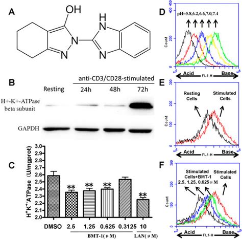 2-(1H-Benzimidazol-2-yl)-4,5,6,7-tetrahydro-2H-indazol-3-ol, a ...