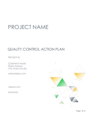 Image result for Quality Control Action Plan Example