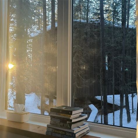 YUKON BLACK SPRUCE LANDSCAPE HOTEL (Whitehorse, Canada) - Lodge Reviews ...