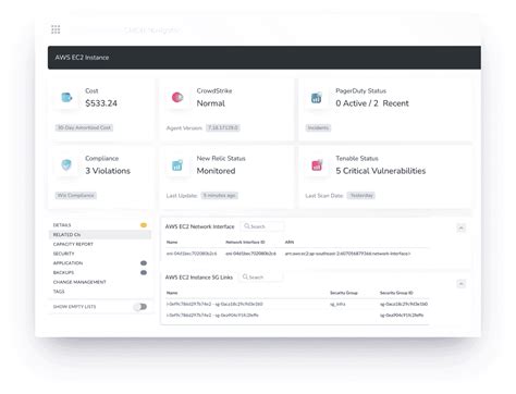 Service Mapping 的图像结果
