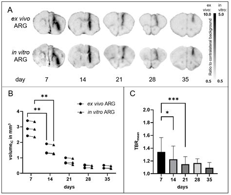 The Traumatic Inoculation Process Affects TSPO Radioligand Uptake in ...