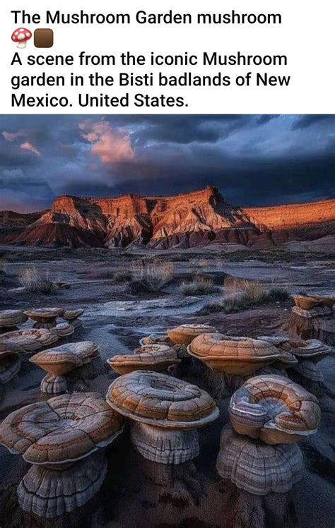 Complete guide to alien throne valley of dreams new mexico – Artofit