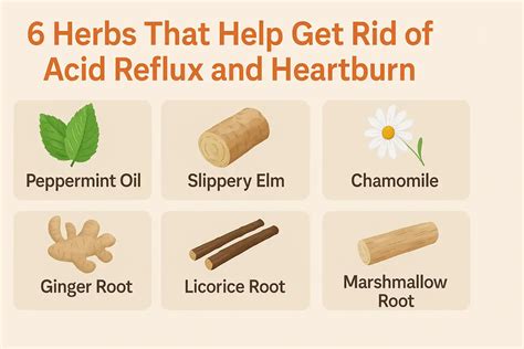 6 Herbs That Help Get Rid of Acid Reflux and Heartburn – Rachel's Tea