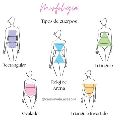 Morfología tipos de cuerpos en 2025 | Tipos de cuerpo, Tipos de cuerpos ...