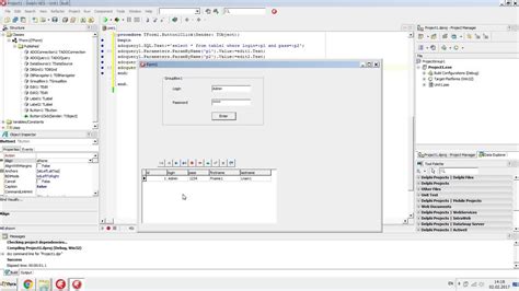 Delphi Database 的图像结果