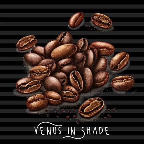 Java Coffee Beans 的图像结果