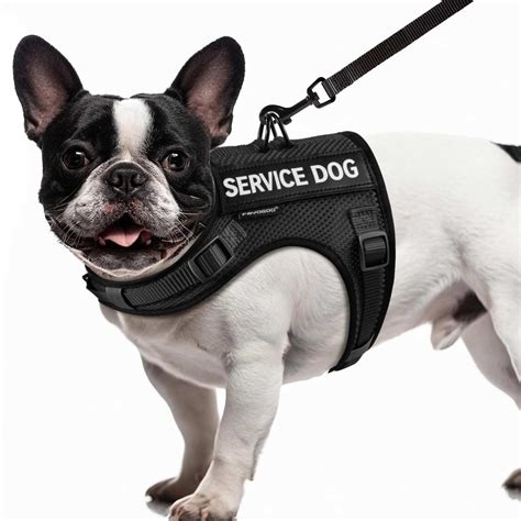 Amazon.com : FAYOGOO Service Dog Vest for Small Dogs - Air Mesh ...