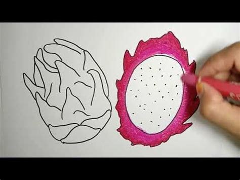 Image result for Tutorial User App