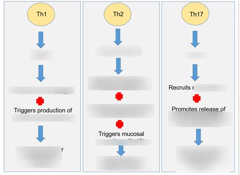 Immunology 的图像结果