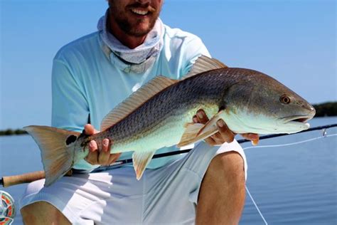 Flyin' High Charters (Edgewater) - 2022 What to Know Before You Go ...