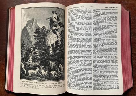 Image result for Douay-Rheims Bible Printables
