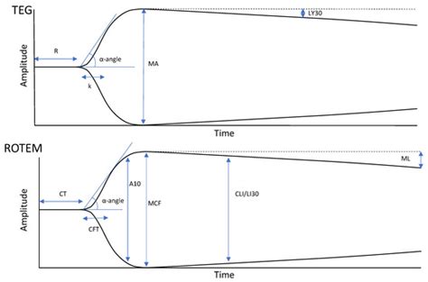 Viscoelastic Hemostatic Assays for Postpartum Hemorrhage