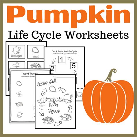 Pumpkin Life Cycle Activities - Worksheets Library