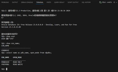 Oracle Developer Vscode JDBC Connection 的图像结果